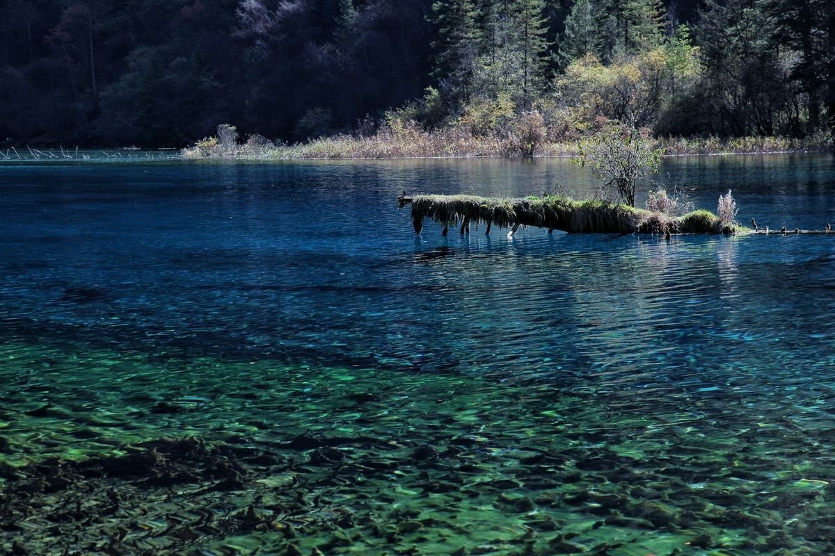 Jiuzhaigou.jpg